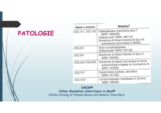 PATOLOGIE
OMIM®
Online Mendelian Inheritance in Man®
Online Catalog of Human Genes and Genetic Disorders
 