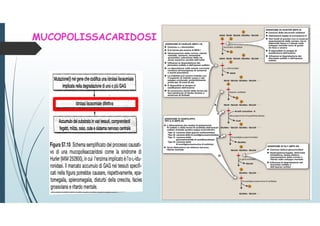 MUCOPOLISSACARIDOSI
 