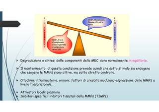  Degradazione e sintesi delle componenti della MEC sono normalmente in equilibrio.
 Il mantenimento di questa condizione prevede quindi che sotto stimolo sia endogeno
che esogeno le MMPs siano attive, ma sotto stretto controllo.
 Citochine infiammatorie, ormoni, fattori di crescita modulano espressione delle MMPs a
livello trascrizionale.
 Attivatori locali: plasmina
 Inibitori specifici: inibitori tissutali della MMPs (TIMPs)
 