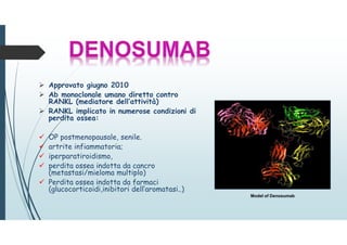  Approvato giugno 2010
 Ab monoclonale umano diretto contro
RANKL (mediatore dell’attività)
 RANKL implicato in numerose condizioni di
perdita ossea:
 OP postmenopausale, senile.
 artrite infiammatoria;
 iperparatiroidismo,
 perdita ossea indotta da cancro
(metastasi/mieloma multiplo)
 Perdita ossea indotta da farmaci
(glucocorticoidi,inibitori dell’aromatasi..)
Model of Denosumab
 