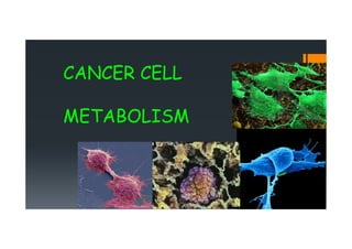 CANCER CELL
METABOLISM
 