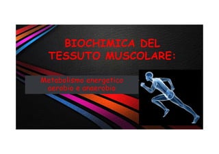 Metabolismo energetico
aerobio e anaerobio
BIOCHIMICA DEL
TESSUTO MUSCOLARE:
 