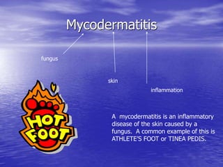 MEDL The Integumentary System.ppt