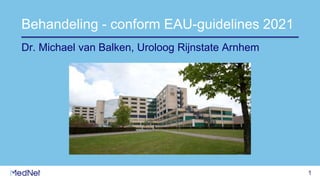1
Behandeling - conform EAU-guidelines 2021
Dr. Michael van Balken, Uroloog Rijnstate Arnhem
 