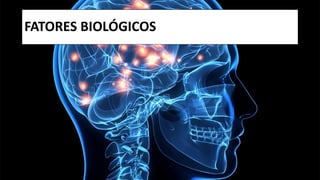 FATORES BIOLÓGICOS
 