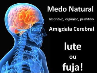 Medo Natural
Instintivo, orgânico, primitivo

Amigdala Cerebral


          lute
             ou
         fuja!
 