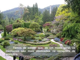 Temos de admitir que, de um modo geral, os medíocres são mais obstinados na conquista de posições.  