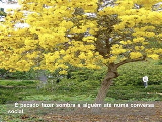 É pecado fazer sombra a alguém até numa conversa social. 