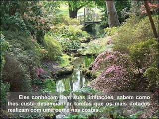 Eles conhecem bem suas limitações, sabem como lhes custa desempenhar tarefas que os mais dotados realizam com uma perna nas costas... 