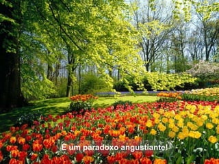 É um paradoxo angustiante! 