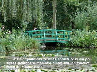 A maior parte das pessoas encasteladas em po-sições políticas é medíocre e tem um indisfarçável medo da inteligência. 