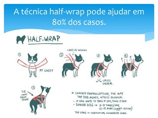 A técnica half-wrap pode ajudar em
80% dos casos.
 