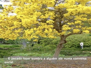 É pecado fazer sombra a alguém até numa conversa
social.
 