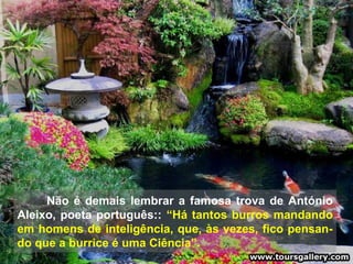 Não é demais lembrar a famosa trova de António
Aleixo, poeta português:: “Há tantos burros mandando
em homens de inteligência, que, às vezes, fico pensan-
do que a burrice é uma Ciência”.
 