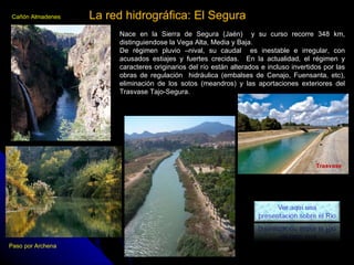 La red hidrográfica: El Segura  Nace en la Sierra de Segura (Jaén)  y su curso recorre 348 km, distinguiendose la Vega Alt...