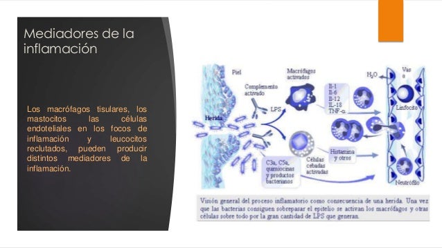 metabolismo del Acido Araquidonico y Mediadores de origen metabolismo del Acido Araquidonico y Mediadores de origen