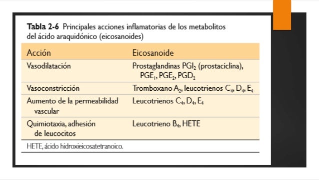 metabolismo del Acido Araquidonico y Mediadores de origen metabolismo del Acido Araquidonico y Mediadores de origen