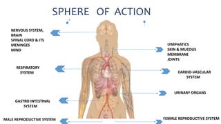 SPHERE OF ACTION
NERVOUS SYSTEM,
BRAIN
SPINAL CORD & ITS
MENINGES
MIND
RESPIRATORY
SYSTEM
GASTRO INTESTINAL
SYSTEM
MALE REPRODUCTIVE SYSTEM
LYMPHATICS
SKIN & MUCOUS
MEMBRANE
JOINTS
CARDIO-VASCULAR
SYSTEM
URINARY ORGANS
FEMALE REPRODUCTIVE SYSTEM
 