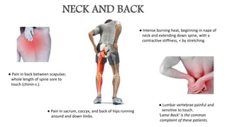 NECK AND BACK
● Pain in back between scapulae;
whole length of spine sore to
touch (chinin-s.).
● Intense burning heat, beginning in nape of
neck and extending down spine, with a
contractive stiffness, < by stretching.
● Pain in sacrum, coccyx, and back of hips running
around and down limbs.
● Lumbar vertebrae painful and
sensitive to touch.
‘Lame Back’ is the common
complaint of these patients.
 