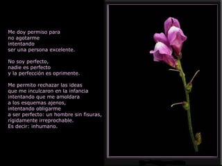 Me doy permiso para no agotarme intentando ser una persona excelente. No soy perfecto, nadie es perfecto y la perfección es oprimente. Me permito rechazar las ideas que me inculcaron en la infancia intentando que me amoldara a los esquemas ajenos, intentando obligarme a ser perfecto: un hombre sin fisuras, rígidamente irreprochable. Es decir: inhumano. 
