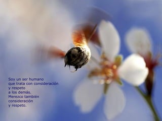 Soy un ser humano que trata con consideración y respeto a los demás. Merezco también consideración  y respeto. 