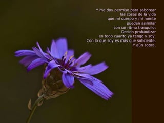 Y me doy permiso para saborear las cosas de la vida que mi cuerpo y mi mente pueden asimilar con un ritmo tranquilo. Decido profundizar en todo cuanto ya tengo y soy. Con lo que soy es más que suficiente. Y aún sobra. 