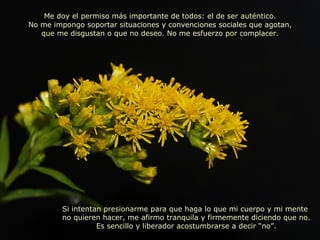 Me doy el permiso más importante de todos: el de ser auténtico. No me impongo soportar situaciones y convenciones sociales que agotan, que me disgustan o que no deseo. No me esfuerzo por complacer. Si intentan presionarme para que haga lo que mi cuerpo y mi mente  no quieren hacer, me afirmo tranquila y firmemente diciendo que no. Es sencillo y liberador acostumbrarse a decir “no”. 