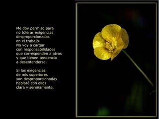Me doy permiso para no tolerar exigencias desproporcionadas en el trabajo. No voy a cargar con responsabilidades que corresponden a otros y que tienen tendencia a desentenderse. Si las exigencias de mis superiores son desproporcionadas hablaré con ellos clara y serenamente. 
