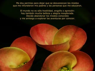 Me doy permiso para dejar que se desvanezcan los miedos que me infundieron mis padres y las personas que me educaron. El mundo no es sólo hostilidad, engaño o agresión: hay también mucha belleza y alegría inexplorada. Decido abandonar los miedos conocidos y me arriesgo a explorar las aventuras por conocer. 