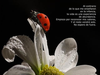 Al contrario de lo que me enseñaron en la infancia, la vida es una experiencia de abundancia. Empiezo por reconocer mis valores, Y el resto vendrá solo. No espero de fuera. 