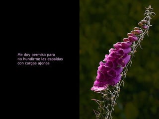 Me doy permiso para no hundirme las espaldas con cargas ajenas 