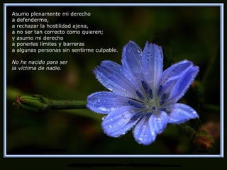 Asumo plenamente mi derecho a defenderme, a rechazar la hostilidad ajena, a no ser tan correcto como quieren; y asumo mi derecho a ponerles límites y barreras a algunas personas sin sentirme culpable. No he nacido para ser la víctima de nadie. 