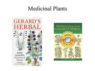 Medicinal Plants
 