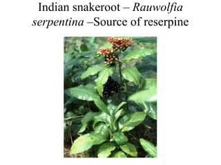 Indian snakeroot – Rauwolfia
serpentina –Source of reserpine
 