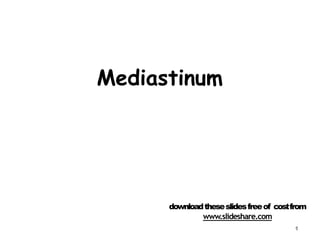 Mediastinum
downloadtheseslidesfreeof costfrom
www.slideshare.com
1
 