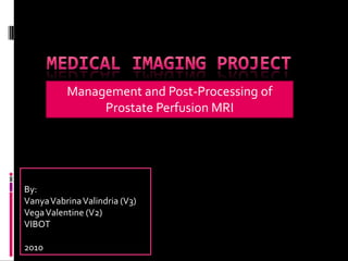 Management and Post-Processing of
               Prostate Perfusion MRI




By:
Vanya Vabrina Valindria (V3)
Vega Valentine (V2)
VIBOT

2010
 