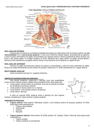 Thyreos - O câncer de mandíbula, é um tipo raro de tumor que se