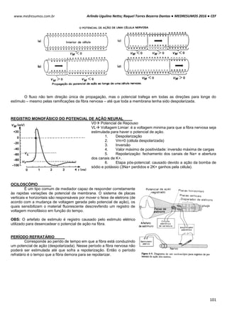 Arlindo Ugulino Netto; Raquel Torres Bezerra Dantas ● MEDRESUMOS 2016 ● CEF
101
www.medresumos.com.br
O fluxo não tem direção única de propagação, mas o potencial trafega em todas as direções para longe do
estímulo – mesmo pelas ramificações da fibra nervosa – até que toda a membrana tenha sido despolarizada.
REGISTRO MONOFÁSICO DO POTENCIAL DE AÇÃO NEURAL
V0 Potencial de Repouso
VL Voltagem Limiar: é a voltagem minima para que a fibra nervosa seja
estimulada para haver o potencial de ação.
1. Despolarização
2. Vm=0 (célula despolarizada)
3. Inversão
4. Valor máximo de positividade: inversão máxima de cargas
5. Repolarização: fechamento dos canais de Na+ e abertura
dos canais de K+.
6. Etapa pós-potencial: causado devido a ação da bomba de
sódio e potássio (3Na+ perdidos e 2K+ ganhos pela célula).
OCILOSCÓPIO
É um tipo comum de mediador capaz de responder corretamente
às rapidas variações de potencial da membrana. O sistema de placas
verticais e horizontais são responsáveis por mover o feixe de eletrons (de
acordo com a mudança de voltagem gerada pelo potencial de ação), os
quais sensibilizam o material fluorescente descrevfendo um registro de
voltagem monofásico em função do tempo.
OBS: O artefato de estimulo é registro causado pelo estimulo elétrico
utilizado para desencadear o potencial de ação na fibra.
PERÍODO REFRATÁRIO
Corresponde ao perído de tempo em que a fibra está conduzindo
um potencial de ação (despolarizada). Nesse período a fibra nervosa não
poderá ser estimulada até que sofra a repolarização. Então o período
refratário é o tempo que a fibra demora para se repolarizar.
 