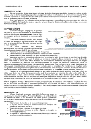 Arlindo Ugulino Netto; Raquel Torres Bezerra Dantas ● MEDRESUMOS 2016 ● CEF
104
www.medresumos.com.br
SINAPSES ELÉTRICAS
São menos comuns do que as sinapses químicas. Neste tipo de sinapse, as células possuem um íntimo contato
através junções abertas ou do tipo gap junctions, que permitem o livre trânsito de íons de uma membrana a outra. Desta
maneira, o potencial de ação passa de uma célula para outra de um modo muito mais rápido do que na sinapse química,
mas de uma forma que não pode ser bloqueada.
Ocorre, por exemplo, em músculos lisos e cardíaco, nos quais a contração ocorre como um todo, em todos os
sentidos. No SNC, são importantes para as seguintes funções: despertar do sono; atenção mental; emoção e memória;
homeostase da água e íons; etc.
SINAPSES QUÍMICAS
É caracterizada pela propagação do potencial
de ação, ou seja, do impulso através de um mensageiro
químico, chamado de neurotransmissor, que se liga a
um receptor (proteína) localizado na membrana pós-
sinaptica.
O impulso é transmitido em uma única direção,
podendo ser bloqueado, diferentemente do que ocorre
com as sinapses elétricas. Contudo, a sinapse química
é muito mais lenta.
Em outras palavras, são sinapses
especializadas em liberar e captar neurotransmissores.
Quase todas as sinapses do SNC são químicas.
Tipicamente, as sinapses são compostas por duas partes:
 O terminal axônico do neurônio pré-sináptico contém vesículas sinápticas;
 Região receptora no(s) dendrito(s) ou soma do neurônio pós-sináptico.
Na sinapse química, o potencial de ação se move em ambos os lados da membrana e, quando chega à região
adjacente à fenda sináptica, ativa canais de cálcio que, através da despolarização da membrana, se abrem deslocando
cálcio para dentro da célula. Este influxo de cálcio nas imediações da membrana pré-sináptica causará, por atração
iônica, o movimento de vesículas com neurotransmissores na direção da membrana pré-sináptica onde os
neurotransmissores serão liberados para a fenda sináptica por exocitose. Esse movimento se dá a partir da interação do
citoesqueleto (microtúbulo) do axônio, carreando as vesículas, com os íons cálcio. Na membrana pós-sinaptica, existe
um grande número de proteínas receptoras de neurotransmissores; estes receptores sensíveis à voltagem são canais
iônicos permeáveis ao íon sódio (quando o impulso é excitatório) e/ou ao íon cloreto (quando o impulso é inibitório).
Portanto, se os neurotransmissores ligarem-se aos canais iônicos permeáveis ao sódio, ocorrerá o influxo de
sódio para dentro da célula. Consequentemente, será desencadeado um potencial de ação nesta célula. Se o
neurotransmissor se ligar a canais iônicos permeáveis ao cloreto, causará o influxo deste íon para dentro da célula.
Como o cloreto é um ânion, ele não deixará que a célula gere um potencial de ação (uma vez que, para isso, o interior
da célula deve estar repleto de cátions, e isento de ânions), promovendo, assim, um impulso inibitório.
OBS
12
: Etapas de liberação do neurotransmissor. Despolarização  Entrada de cálcio no botão sináptico  Cálcio
se liga aos sítios de liberação da membrana pré-sináptica  Exocitose da vesícula com neurotransmissores 
Receptores deixam os neurotransmissores passarem  Reciclagem das vesículas com neurotransmissores  Remoção
dos neurotransmissores do botão sináptico.
FENDA SINÁPTICA
A fenda sináptica é um espaço preenchido de fluído que separa os
neurônios pré- dos pós-sinápticos. A transmissão através da fenda sináptica,
na maioria das vezes, se faz através de um evento químico (quando em
oposição a um evento elétrico) e garante a comunicação unidirecional entre
os neurônios.
A transmissão do impulso se dá na seguinte sequência:
 O impulso nervoso alcança o terminal axônico do neurônio pré-
sináptico e abre canais de cálcio;
 O neurotransmissor é liberado na fenda via exocitose;
 O neurotransmissor atravessa a fenda e liga-se ao receptor no
neurônio pós-sináptico;
 Mudanças na permeabilidade da membrana pós-sináptica causam
um efeito excitatório ou inibitório.
 