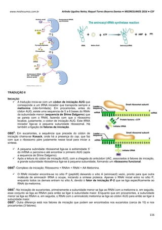 Arlindo Ugulino Netto; Raquel Torres Bezerra Dantas ● MEDRESUMOS 2016 ● CEF
116
www.medresumos.com.br
TRADUÇÃO II
INICIAÇÃO
 A tradução inicia-se com um códon de iniciação AUG que
corresponde a um tRNA iniciador que transporta sempre a
metionina (não-formilada). Em procariontes, antes do
códon AUG, existe uma sequencia de 5 a 6 bases do RNAr
da subunidade menor (sequencia de Shine Dalgarno) que
se pareia com o RNAt, fazendo com que o ribossomo
localize, justamente, o códon de iniciação AUG. Este tRNA
iniciador liga-se à pequena subunidade ribossomal. Há
também a ligação de fatores de iniciação.
OBS
5
: Em eucariontes, a sequência que precede do códon de
iniciação chama-se Kosack, onde há a presença do cap, que faz
com que o ribossomo páre justamente nesse local para iniciar a
síntese.
 A pequena subnidade ribossomal liga-se à extremidade 5’
do mRNA e percorre-o até encontrar o primeiro AUG (após
a sequencia de Shine Dalgarno).
 Após a leitura do códon de iniciação AUG, com a chegada do anticódon UAC, associados à fatores de iniciação,
a grande subunidade ribossômica liga-se à pequena subunidade, formando um ribossomo funcional.
OBS
6
: Complexo de iniciação: Ribossomo + RNAm + RNAt + AA Metionina.
 O RNAt iniciador encontra-se no sítio P (peptidil) deixando o sítio A (aminoacil) vazio, pronto para que outra
molécula de aminoacil- tRNA o ocupe, iniciando a síntese proteica. Apenas o RNAt inicial entra no sítio P,
enquanto todos os demais entram no sítio A, devido o fator de iniciação IF-2 que se liga especificamente ao
RNAt da metionina.
OBS
7
: Na iniciação de eucariontes, primeiramente a subunidade menor se liga ao RNAt com a metionina e, em seguida,
esse conjunto se liga ao RNAm para então se ligar à subunidade maior. Enquanto que em procariontes, a subunidade
menor se liga ao RNAm e, em seguida, o RNAt com o aminoácido metionina se liga ao códon AUG para então se ligar à
subunidade maior.
OBS
8
: Outra diferença está nos fatores de iniciação que podem ser encontrados nos eucariotos (cerca de 10) e nos
procariontes (3 fatores).
 
