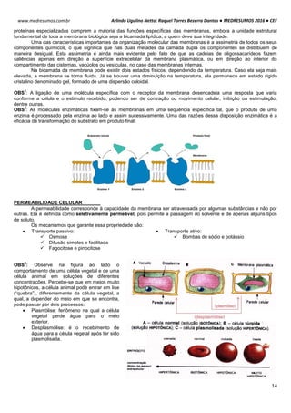Arlindo Ugulino Netto; Raquel Torres Bezerra Dantas ● MEDRESUMOS 2016 ● CEF
14
www.medresumos.com.br
proteínas especializadas cumprem a maioria das funções específicas das membranas, embora a unidade estrutural
fundamental de toda a membrana biológica seja a bicamada lipídica, a quem deve sua integridade.
Uma das características importantes da organização molecular das membranas é a assimetria de todos os seus
componentes químicos, o que significa que nas duas metades da camada dupla os componentes se distribuem de
maneira desigual. Esta assimetria é ainda mais evidente pelo fato de que as cadeias de oligossacarídeos fazem
saliências apenas em direção a superfície extracelular da membrana plasmática, ou em direção ao interior do
compartimento das cisternas, vacúolos ou vesículas, no caso das membranas internas.
Na bicamada da membrana pode existir dois estados físicos, dependendo da temperatura. Caso ela seja mais
elevada, a membrana se torna fluida. Já se houver uma diminuição na temperatura, ela permanece em estado rígido
cristalino denominado gel, formado de uma dispersão coloidal.
OBS
1
: A ligação de uma molécula específica com o receptor da membrana desencadeia uma resposta que varia
conforme a célula e o estimulo recebido, podendo ser de contração ou movimento celular, inibição ou estimulação,
dentre outras.
OBS
2
: As moléculas enzimáticas fixam-se às membranas em uma sequência específica tal, que o produto de uma
enzima é processado pela enzima ao lado e assim sucessivamente. Uma das razões dessa disposição enzimática é a
eficácia da transformação do substrato em produto final.
PERMEABILIDADE CELULAR
A permeabilidade corresponde à capacidade da membrana ser atravessada por algumas substâncias e não por
outras. Ela é definida como seletivamente permeável, pois permite a passagem do solvente e de apenas alguns tipos
de soluto.
Os mecanismos que garante essa propriedade são:
 Transporte passivo:
 Osmose
 Difusão simples e facilitada
 Fagocitose e pinocitose
 Transporte ativo:
 Bombas de sódio e potássio
OBS
3
: Observe na figura ao lado o
comportamento de uma célula vegetal e de uma
célula animal em soluções de diferentes
concentrações. Percebe-se que em meios muito
hipotônicos, a célula animal pode entrar em lise
(“quebra”), diferentemente da célula vegetal, a
qual, a depender do meio em que se encontra,
pode passar por dois processos:
 Plasmólise: fenômeno na qual a célula
vegetal perde água para o meio
exterior.
 Desplasmólise: é o recebimento de
água para a célula vegetal após ter sido
plasmolisada.
 