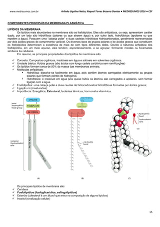 Arlindo Ugulino Netto; Raquel Torres Bezerra Dantas ● MEDRESUMOS 2016 ● CEF
15
www.medresumos.com.br
COMPONENTES PRINCIPAIS DA MEMBRANA PLASMÁTICA
LIPÍDIOS DA MEMBRANA A
Os lipídios mais abundantes na membrana são os fosfolipídios. Eles são anfipáticos, ou seja, apresentam caráter
duplo, por um lado são hidrofílicos (polares ou que atraem água) e, por outro lado, hidrofóbicos (apolares ou que
repelem a água). Possuem uma “cabeça polar” e duas cadeias hidrófobas hidrocarbonadas, geralmente representadas
por dois ácidos graxos de comprimento variável. Os diversos tipos de grupos polares e de ácidos graxos que constituem
os fosfolipídios determinam a existência de mais de cem tipos diferentes deles. Devido à natureza anfipática dos
fosfolipídios, em um meio aquoso, eles tendem, espontaneamente, a se agrupar, formando micelas ou bicamadas
similares às celulares.
Em resumo, as principais propriedades dos lipídIos de membrana são:
 Conceito: Compostos orgânicos, insolúveis em água e solúveis em solventes orgânicos.
 Unidade básica: Ácidos graxos (são ácidos com longa cadeia carbônica sem ramificações)
 Os lipídios formam cerca de 50% da massa das membranas animais;
 Moléculas anfipáticas:
 Hidrofílica: dissolve-se facilmente em água, pois contém átomos carregados eletricamente ou grupos
polares que formam pontes de hidrogênio.
 Hidrofóbica: é insolúvel em água pois quase todos os átomos são carregados e apolares, sem formar
ligação com a água.
 Fosfolipídios: uma cabeça polar e duas caudas de hidrocarbonetos hidrofóbicas formadas por ácidos graxos;
 Ligação cis (insaturadas);
 Importância: Energética; Estrutural; Isolantes térmicos; hormonal e vitamínica.
Os principais lipídios de membrana são:
 Cerídeos
 Fosfolipídios (fosfoglicerídios, esfingolipídios)
 Esteróis (colesterol é um álcool que entra na composição de alguns lipídios)
 Inositol (sinalização celular)
 