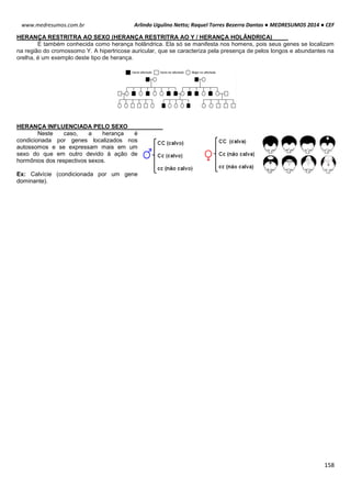 Arlindo Ugulino Netto; Raquel Torres Bezerra Dantas ● MEDRESUMOS 2014 ● CEF
158
www.medresumos.com.br
HERANÇA RESTRITRA AO SEXO (HERANÇA RESTRITRA AO Y / HERANÇA HOLÂNDRICA)
É também conhecida como herança holândrica. Ela só se manifesta nos homens, pois seus genes se localizam
na região do cromossomo Y. A hipertricose auricular, que se caracteriza pela presença de pelos longos e abundantes na
orelha, é um exemplo deste tipo de herança.
HERANÇA INFLUENCIADA PELO SEXO
Neste caso, a herança é
condicionada por genes localizados nos
autossomos e se expressam mais em um
sexo do que em outro devido à ação de
hormônios dos respectivos sexos.
Ex: Calvície (condicionada por um gene
dominante).
 