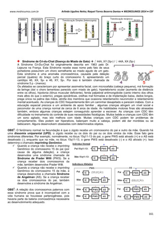 Arlindo Ugulino Netto; Raquel Torres Bezerra Dantas ● MEDRESUMOS 2014 ● CEF
161
www.medresumos.com.br
Síndrome de Cri-du-Chat (Doença do Miado de Gato)  ♂ 44A, XY (5p-) / ♀ 44A, XX (5p-)
A Síndrome Cri-Du-Chat foi originalmente descrita em 1963 pelo Dr.
Lejeune na França. Esta Síndrome recebe esse nome pelo fato de seus
portadores possuírem um choro semelhante ao miado agudo de um gato.
Esta síndrome é uma anomalia cromossômica, causada pela deleção
parcial (quebra) do braço curto do cromossomo 5, apresentando um
cariótipo 46, XX, 5p- e 46, XY, 5p-. Por isso é também chamada de
síndrome 5 p - (menos).
Os afetados se caracterizam por apresentar assimetria facial, com microcefalia (cabeça pequena), má formação
da laringe (daí o choro lamentoso parecido com miado de gato), hipertelorismo ocular (aumento da distância
entre os olhos), hipotonia (tônus muscular deficiente), fenda palpebral antimongoloide (canto interno dos olhos
mais altos do que o externo), pregas epicânticas, orelhas mal formadas e de implantação baixa, dedos longos,
prega única na palma das mãos, atrofia dos membros que ocasiona retardamento neuromotor e retardamento
mental acentuado. As crianças do CDC frequentemente têm um caminhar desajeitado e parecem inábeis. Com a
educação especial precoce e um ambiente de apoio familiar , algumas crianças atingem um nível social e
psicomotor de uma criança normal de cerca de 6 anos de idade. As habilidades motoras finas são atrasadas
também, embora algumas crianças estejam conseguindo aprender a escrever. As crianças com CDC têm
dificuldade no treinamento do controle de suas necessidades fisiológicas. Muitos bebês e crianças com CDC têm
um sono agitado, mas isto melhora com idade. Muitas crianças com CDC podem ter problemas de
comportamento. Eles podem ser hiperativos, balançam muito a cabeça, podem até dar mordidas ou se
beliscarem. Alguns desenvolvem obsessões com determinados objetos.
OBS
2
: O fenômeno normal na fecundação é que o zigoto receba um cromossomo do pai e outro da mãe. Quando há
uma dissomia uniparental (UPD), o zigoto recebe ou os dois do pai ou os dois vindos da mãe. Esse fato gera
síndromes diferentes. Por exemplo, normalmente, no lócus 15q11-13 do pai, o gene PWS está ativado (+) e o AS está
desativado (-), enquanto que na mãe, no lócus 15q11-13, o gene PWS está desativado (-) e o AS ativado (+). Isso
determina o chamado imprinting Genômico.
 Quando a criança não recebe o imprinting
Genômico do cromossomo 15 do pai (por
causa de alguma deleção), a criança
desenvolve uma síndrome chamada de
Síndrome de Prader Willi (PWS). Se a
criança receber dois cromossomos da
mãe, também desenvolve Prader Willi.
 Quando a criança não recebe o imprinting
Genômico do cromossomo 15 da mãe, a
criança desenvolve a chamada Síndrome
de Angelman (AS). Se a criança receber
os dois cromossomos do pai, também
desenvolve a síndrome de Angelman.
OBS
3
: A relação dos cromossomos paternos com
essa síndrome prova que é incompatível com a
vida humana se houvesse partenogênese, pois
haveria parte da bateria cromossômica necessária
ao desenvolvimento adequado.
 