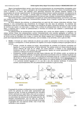 Arlindo Ugulino Netto; Raquel Torres Bezerra Dantas ● MEDRESUMOS 2014 ● CEF
178
www.medresumos.com.br
Alguns homopolissacarídeos servem como forma de armazenamento de monossacarídeos empregados como
combustíveis pelas células; o amido e o glicogênio são homopolissacarídeos desse tipo. Outros homopolissacarídeos,
como a celulose e a quitina, são utilizados como elementos estruturais das paredes celulares vegetais e de
exoesqueletos de animais, respectivamente. Os heteropolissacarídeos fornecem suporte extracelular nos organismos de
todos os reinos naturais. Por exemplo, a camada rígida do envoltório das células bacterianas (peptidoglicanos) é
construída por uma parte que é um heteropolissacarídeo formado por duas unidades monossacarídicas alternantes.
Nos tecidos animais, o espaço extracelular é ocupado por vários heteropolissacarídeos, que formam uma matriz
que mantém as células individuais unidas, fornecendo-lhes proteção, forma e suporte, funções que se estendem aos
tecidos e órgãos.
De forma diferente das proteínas, os polissacarídeos em geral não têm massas moleculares definidas. Essa
diferença é uma consequência dos mecanismos de montagem dos dois tipos de polímeros. As proteínas são
sintetizadas a partir de um molde (RNA mensageiro) com sequência de bases e tamanhos definidos, por meio da ação
de enzimas que copiam, de modo exato, o molde. Para a síntese de polissacarídeos não há nenhum molde; em vez
disso, o programa para a síntese de polissacarídeos é intrínseco às enzimas que catalisam a polimerização das
unidades monoméricas.
Os polissacarídeos de armazenamento mais importantes são o amido nas células vegetais e o glicogênio nas
células animais. Esses dois polissacarídeos ocorrem intracelularmente como grandes agregados ou grânulos. As
moléculas de amido e glicogênio são altamente hidratadas, porque elas têm muitos grupos hidroxila expostos e capazes
de formar pontes de hidrogênio com a água. A maioria das células vegetais tem a habilidade de sintetizar o amido,
porém ele é especialmente abundante nos tubérculos, como as batatas, e nas sementes, como o grão de milho.
 Amido: é formado por várias moléculas de glicose que podem se apresentar na forma de duas frações: a
amilose e a amilopectina. O amido apresenta nos vegetais uma função energética análoga ao glicogênio para os
animais.
o Amilose: consiste de cadeias de longas, não-ramificadas de unidades de D-glicose conectadas por
ligações α1→4 que se apresentam na forma helicoidal. Tais cadeias variam em massa molecular de uns
poucos milhares até mais de um milhão. Em outras palavras, a amilose é uma macromolécula
constituida de 250 a 300 resíduos de D-glicopiranose, ligadas por pontes glicosídicas α-1→4, que
conferem à molécula uma estrutura helicoidal.
o Amilopectina: também apresenta uma alta massa molecular (até 100 milhões), porém, ao contrário da
amilose, é altamente ramificada. As ligações glicosídicas encontradas entre as unidades de glicose nas
cadeias da amilopectina são α1→4, mas os pontos de ramificação (cerca de 1 a cada 24 a 30 unidades)
são do tipo α1→6. Em outras palavras, a amilopectina é uma macromolécula, menos hidrossolúvel que a
amilose, constituída de aproximadamente 1400 resíduos de α-glicose ligadas por pontes glicosidicas α-
1→4, ocorrendo também ligações α-1→6, que dão a ela uma estrutura ramificada. A amilopectina
constitui, aproximadamente, 80% dos polissacarídeos existentes no grão de amido.
O agregado de amilose e amilopectina como se acredita que
ocorra nos grânulos de amido estão representados pelo
esquema ao lado. As fibras de amilopectina (em vermelho)
formam estruturas em dupla hélice umas com as outras ou
com as fibras de amilose (em azul). As unidades de glicose,
na extremidade não-redutora das ramificações externas, são
retiradas enzimaticamente, uma de cada vez, durante a
mobilização intracelular do amido para produção de energia.
O glicogênio tem uma estrutura similar, mas é muito mais
ramificado e mais compacto.
 