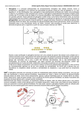 Arlindo Ugulino Netto; Raquel Torres Bezerra Dantas ● MEDRESUMOS 2014 ● CEF
179
www.medresumos.com.br
 Glicogênio: é o principal polissacarídeo de armazenamento energético das células animais. Como a
amilopectina, o glicogênio é um polímero de subunidades de glicose unidas por meio de ligações α1→4, com
ligações α1→6 nas ramificações, mas o glicogênio é mais extensamente ramificado (em média, uma ramificação
a cada 8 a 12 unidades) e mais compacto que o amido. O glicogênio é especialmente abundante no fígado (onde
constitui até 7% do peso úmido do órgão) e no músculo esquelético. Nos hepatócitos, o glicogênio é encontrado
em grandes grânulos. Esses grânulos de glicogênio contêm ainda, numa forma intimamente unida, as enzimas
responsáveis pela sua síntese e degradação. O glicogênio é quebrado em glicose por um processo denominado
glicogenólise, que ocorre quando a taxa de glicose no sangue está baixa. Quando as moléculas de glicose são
quebradas dentro da célula, são convertidas em glicose-6-fosfato pela enzima glicoquinase, sendo um processo
necessário para a sua manutenção dentro da célula. Contudo, este processo é crucial para determinar a
demanda de glicose para o organismo a partir de suas principais reservas (ver OBS
6
).
Devido a cada ramificação no glicogênio terminar com uma unidade de açúcar não-redutor (uma unidade sem o
carbono anomérico livre), esse polímero tem tantos terminais não-redutores quantas ramificações, porém apenas
um único terminal redutor. Desta forma, quando o glicogênio é utilizado como fonte de energia, as unidades de
glicose são removidas uma a uma, a partir dos terminais não-redutores, isto é, das extremidades das
ramificações. As enzimas de degradação, que agem somente nos terminais não-redutores, podem agir
simultaneamente em muitos terminais, acelerando a conversão do polímero em monossacarídeo.
O fato de as células armazenarem uma reserva nutritiva na forma de polissacarídeo (glicogênio) e não na forma
de monossacarídeo (glicose) se dá por uma questão de osmolaridade, de forma que a glicose livre em
abundância no citoplasma celular aumenta a osmolaridade do citoplasma, o que pode levar ao rompimento
celular.
OBS
6
: O glicogênio estocado nos músculos só pode ser metabolizado pelas próprias células musculares, uma vez que
elas não apresentam a enzima glicose-6-fosfatase, responsável por retirar o átomo de fósforo da glicose-6-fosfato
estocada dentro da célula. Como vimos anteriormente, apenas a glicose fosforilada pode ser mantida dentro da célula,
sendo, desta forma, capaz de gerar energia. Com a ausência da enzima glicose-6-fosfatase, as células musculares são
incapazes de lançar glicose para o sangue quando necessário.
Diferentemente das células musculares, os hepatócitos (células do fígado), além de utilizar glicose para o seu próprio
consumo energético, podem enviar glicose para a circulação sanguínea e, deste modo, para todas as outras células do
corpo por possuírem a enzima glicose-6-fosfatase. Por esta razão, apenas o glicogênio hepático pode ser utilizado pelo
organismo de uma maneira geral como reserva nutricional (inclusive pelas próprias células musculares).
 
