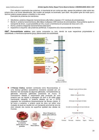 Arlindo Ugulino Netto; Raquel Torres Bezerra Dantas ● MEDRESUMOS 2016 ● CEF
19
www.medresumos.com.br
Com relação à assimetria das proteínas, é importante ter em conta que elas, apesar de poderem rodar sobre seu
próprio eixo e se mover lateralmente, não mudam de posição na bicamada, quer dizer, não podem girar de modo que o
domínio externo possa passar a citosólico e vice versa.
Exemplos de proteínas de membrana:
 Glicoforina: proteína integrante transmembrana alfa-hélice unipasso (131 resíduos de aminoácidos);
 Banda 3: proteína transmembrana alfa-hélice multipasso (930 resíduos de aminoácidos). Essa proteína ajuda no
transporte de ânion, o qual possibilita ao CO2 cruzar a membrana em processo de troca com o Cl
-
;
 Porina: proteína integrante transmembrana beta-barril;
 Espectrina e anquirina: são proteínas periféricas. A espectrina dá a biconcavidade da hemácia.
OBS
9
: Permeabilidade seletiva: para certos compostos ou íons, devido às suas respectivas propriedades e
solubilidade, a membrana apresenta graus diferenciados de solubilidade.
A Fibrose Cística, também conhecida como Mucoviscidose, é
uma doença genética autossômica recessiva causada por um
distúrbio nas secreções de algumas glândulas, nomeadamente as
glândulas exócrinas (glândulas produtoras de muco). O
cromossomo afetado é responsável pela produção de uma
proteína que vai regular a passagem de cloro e de sódio pelas
membranas celulares. A proteína afetada vai ser a CFTR
(regulador de condutância transmembranar de fibrose cística). E
tal como a proteína, o próprio canal de cloro vai sofrer uma
mutação do qual vai resultar em um transporte anormal de íons de
cloro através dos ductos da superfície epitelial das células da
mucosa.
 