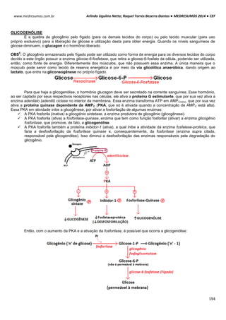 Arlindo Ugulino Netto; Raquel Torres Bezerra Dantas ● MEDRESUMOS 2014 ● CEF
194
www.medresumos.com.br
GLICOGENÓLISE
É a quebra de glicogênio pelo fígado (para os demais tecidos do corpo) ou pelo tecido muscular (para uso
próprio exclusivo) para a liberação de glicose e utilização desta para obter energia. Quando os níveis sanguíneos de
glicose diminuem, o glucagon é o hormônio liberado.
OBS
5
: O glicogênio armazenado pelo fígado pode ser utilizado como forma de energia para os diversos tecidos do corpo
devido a este órgão possuir a enzima glicose-6-fosfatase, que retira a glicose-6-fosfato da célula, podendo ser utilizada,
então, como fonte de energia. Diferentemente dos músculos, que não possuem essa enzima. A única maneira que o
músculo pode servir como tecido de reserva energética é por meio da via glicolítica anaeróbica, dando origem ao
lactato, que entra na gliconeogênese no próprio fígado.
Para que haja a glicogenólise, o hormônio glucagon deve ser secretado na corrente sanguínea. Esse hormônio,
ao ser captado por seus respectivos receptores nas células, ele ativa a proteína G estimulante, que por sua vez ativa a
enzima adenilato (adenilil) ciclase no interior da membrana. Essa enzima transforma ATP em AMPCíclico, que por sua vez
ativa a proteína quinase dependente de AMPC (PKA, que só é ativada quando a concentração de AMPC está alta).
Essa PKA em atividade inibe a glicogênese, por ativar a fosforilação de algumas enzimas:
 A PKA fosforila (inativa) a glicogênio sintetase, a enzima produtora de glicogênio (glicogênese).
 A PKA fosforila (ativa) a fosforilase-quinase, enzima que tem como função fosforilar (ativar) a enzima glicogênio
fosforilase, que promove, de fato, a glicogenólise.
 A PKA fosforila também a proteína inibidor-1 (ativa), a qual inibe a atividade da enzima fosfatase-protéica, que
faria a desfosforilação da fosforilase quinase e, consequentemente, da fosforilase (enzima supra citada,
responsável pela glicogenólise). Isso diminui a desfosforilação das enzimas responsáveis pela degradação do
glicogênio.
Então, com o aumento da PKA e a ativação da fosforilase, é possível que ocorra a glicogenólise:
 