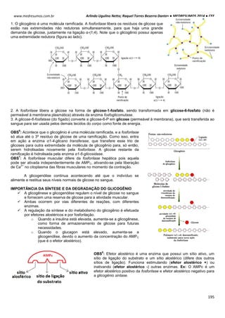 Arlindo Ugulino Netto; Raquel Torres Bezerra Dantas ● MEDRESUMOS 2014 ● CEF
195
www.medresumos.com.br
1. O glicogênio é uma molécula ramificada. A fosforilase libera os resíduos de glicose que
estão nas extremidades não redutoras simultaneamente, para que haja uma grande
demanda de glicose, justamente na ligação α-(1;4). Note que o glicogênio possui apenas
uma extremidade redutora (figura ao lado).
2. A fosforilase libera a glicose na forma de glicose-1-fosfato, sendo transformada em glicose-6-fosfato (não é
permeável à membrana plasmática) através da enzima fosfoglicomutase.
3. A glicose-6-fosfatase (do fígado) converte a glicose-6-P em glicose (permeável à membrana), que será transferida ao
sangue para ser usada pelos demais tecidos do corpo como fonte de energia.
OBS
6
: Acontece que o glicogênio é uma molécula ramificada, e a fosforilase
só atua até o 3º resíduo de glicose de uma ramificação. Como isso, entra
em ação a enzima α1-4-glicano transferase, que transfere esse trio de
glicoses para outra extremidade da molécula de glicogênio para, só então,
serem hidrolisadas novamente pela fosforilase. A glicose restante da
ramificação é hidrolisada pela enzima α1-6-glicosidase.
OBS
7
: A fosforilase muscular difere da fosforilase hepática pois aquela
pode ser ativada independentemente de AMPC, ativando-se pela liberação
de Ca
2+
no citoplasma das fibras musculares no momento da contração.
A glicogenólise continua acontecendo até que o indivíduo se
alimente e restitua seus níveis normais de glicose no sangue.
IMPORTÂNCIA DA SÍNTESE E DA DEGRADAÇÃO DO GLICOGÊNIO
 A glicogênese e glicogenólise regulam o nível de glicose no sangue
e fornecem uma reserva de glicose para a atividade muscular.
 Ambas ocorrem por vias diferentes de reações, com diferentes
enzimas.
 A regulação da síntese e do metabolismo do glicogênio é efetuada
por efetores alostéricos e por fosforilação.
o Quando a insulina está elevada, aumenta-se a glicogênese,
como forma de armazenamento de glicose para futuras
necessidades.
o Quando o glucagon está elevado, aumenta-se a
glicogenólise, devido o aumento da concentração do AMPC
(que é o efetor alostérico).
OBS
8
: Efetor alostérico é uma enzima que possui um sítio ativo, um
sítio de ligação do substrato e um sítio alostérico (difere dos outros
sítios de ligação). Funciona estimulando (efetor alostérico +) ou
inativando (efetor alostérico -) outras enzimas. Ex: O AMPc é um
efetor alostérico positivo da fosforilase e efetor alostérico negativo para
a glicogênio sintase.
 