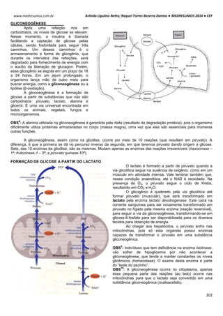 Arlindo Ugulino Netto; Raquel Torres Bezerra Dantas ● MEDRESUMOS 2014 ● CEF
202
www.medresumos.com.br
GLICONEOGÊNESE
Após uma refeição rica em
carboidratos, os níveis de glicose se elevam.
Nesse momento, a insulina é liberada
facilitando a captação de glicose pelas
células, sendo fosforilada para seguir três
caminhos. Um desses caminhos é o
armazenamento e forma de glicogênio, que
durante os intervalos das refeições, será
degradado para fornecimento de energia com
o auxílio da liberação de glucagon. Porém,
esse glicogênio se esgota em um prazo de 18
a 24 horas. Em um jejum prolongado, o
organismo lança mão de outro meio para
buscar energia, como a gliconeogênese ou a
lipólise (β-oxidação).
A gliconeogênese é a formação de
glicose a partir de substâncias que não são
carboidratos: piruvato, lactato, alanina e
glicerol. É uma via universal encontrada em
todos os animais, vegetais, fungos e
microorganismos.
OBS
8
: A alanina utilizada na gliconeogênese é garantida pela dieta (resultado da degradação protéica), pois o organismo
dificilmente utiliza proteínas armazenadas no corpo (massa magra), uma vez que elas são essenciais para inúmeras
outras funções.
A gliconeogênese, assim como na glicólise, ocorre por meio de 10 reações (que resultam em piruvato). A
diferença, é que a primeira se dá no percurso inverso da segunda, em que teremos piruvato dando origem a glicose.
Sete, das 10 enzimas da glicólise, são as mesmas. Mudam apenas as enzimas das reações irreversíveis (hexocinase –
1ª; frutocinase-1 – 3ª; e piruvato quinase-10ª).
FORMAÇÃO DE GLICOSE A PARTIR DO LACTATO
O lactato é formado a partir de piruvato quando a
via glicolítica segue na ausência de oxigênio, como em um
músculo em atividade intensa. Vale lembrar também que,
nessa condição anaeróbica, até o NAD é reoxidado. Na
presença de O2, o piruvato segue o ciclo de Krebs,
resultando em CO2 e H2O.
O glicogênio é quebrado pela via glicolítica até
formar piruvato (muscular), que será transformado em
lactato pela enzima lactato desidrogenase. Este cairá na
corrente sanguínea para ser novamente transformado em
piruvato no fígado pela mesma enzima (reação reversível),
para seguir a via da gliconeogênese, transformando-se em
glicose-6-fosfato para ser disponibilizada para os diversos
tecidos para obtenção de energia.
Ao chegar aos hepatócitos, o piruvato entra nas
mitocôndrias, pois só esta organela possui enzimas
capazes de transformar o piruvato em uma substância
gliconeogênica.
OBS
9
: Indivíduos que tem deficiência na enzima biotinase,
vão sofrer de hipoglicemia por não acontecer a
gliconeogênese, que tende a manter constantes os níveis
glicêmicos (homeostase). O exame desta enzima é parte
do “teste do pezinho”.
OBS
10
: A gliconeogênese ocorre no citoplasma, apenas
essa pequena parte das reações (ao lado) ocorre nas
mitocôndrias para que o lactato seja convertido em uma
substância gliconeogênica (oxaloacetato).
 